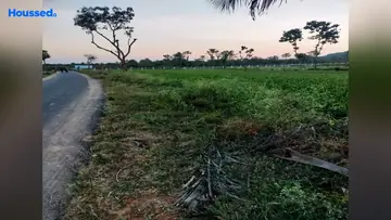 Project Image of Agriculture Land for Resale in Thiruvallur, Chennai - Image 63006