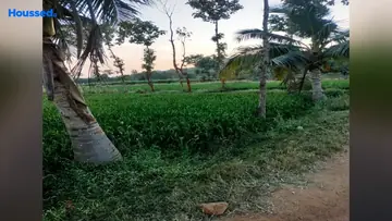 Project Image of Agriculture Land for Resale in Thiruvallur, Chennai - Image 63009