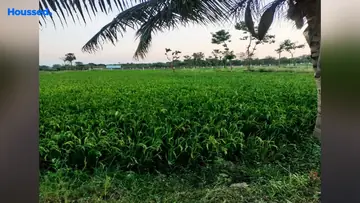 Project Image of Agriculture Land for Resale in Thiruvallur, Chennai - Image 63008