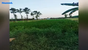 Project Image of Agriculture Land for Resale in Thiruvallur, Chennai - Image 63010