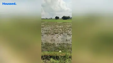 Project Image of Agriculture Land for Resale in Thiruvallur, Chennai - Image 63019