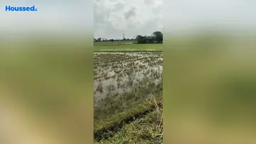 Project Image of Agriculture Land for Resale in Thiruvallur, Chennai - Image 63017