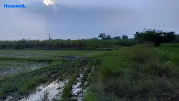 Project Image of Agriculture Land for Resale in Thiruvallur, Chennai - Image 63053