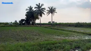 Project Image of Agriculture Land for Resale in Thiruvallur, Chennai - Image 63056