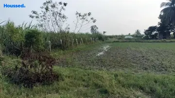 Project Image of Agriculture Land for Resale in Thiruvallur, Chennai - Image 63054