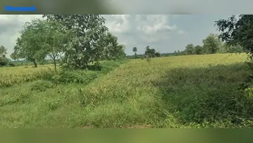 Project Image of Agriculture Land for Resale in Perambakkam, Chennai - Image 63061