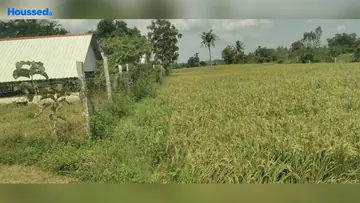 Project Image of Agriculture Land for Resale in Perambakkam, Chennai - Image 63060
