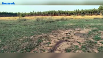 Project Image of Agriculture Land for Resale in Thiruvallur, Chennai - Image 63068
