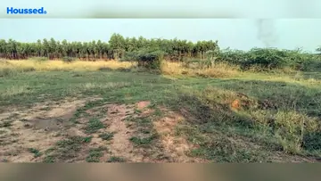 Project Image of Agriculture Land for Resale in Thiruvallur, Chennai - Image 63070