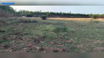 Project Image of Agriculture Land for Resale in Thiruvallur, Chennai - Image 63069