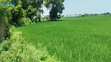 Project Image of Agriculture Land for Resale in Kadambathur, Chennai - Image 63206