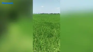 Project Image of Agriculture Land for Resale in Kadambathur, Chennai - Image 63205