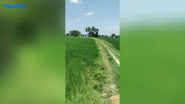 Project Image of Agriculture Land for Resale in Kadambathur, Chennai - Image 63204