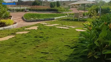 Project Image of Housing Plot/Residential Land for Resale in Shankarpally, Hyderabad - Image 64428