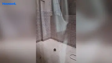 Project Image of 3 BHK Flat for Rent in Zirakpur, Chandigarh - Image 69853