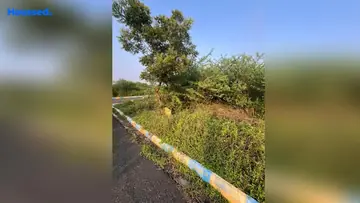 Project Image of Housing Plot/Residential Land for Resale in OMR, Chennai - Image 70170