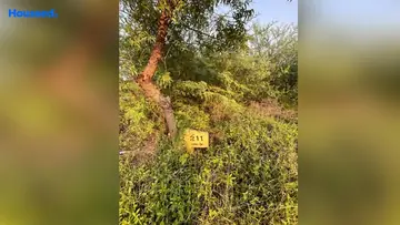 Project Image of Housing Plot/Residential Land for Resale in OMR, Chennai - Image 70172