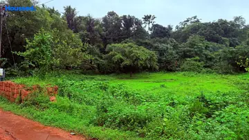 Project Image of Housing Plot/Residential Land for Resale in Curtorim, Goa - Image 74793