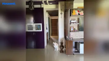 Project Image of 3 BHK Flat for Resale in Kudasan, Gandhinagar - Image 75380