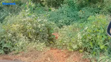 Project Image of Commercial Land for Resale in Porvorim, Goa - Image 83444