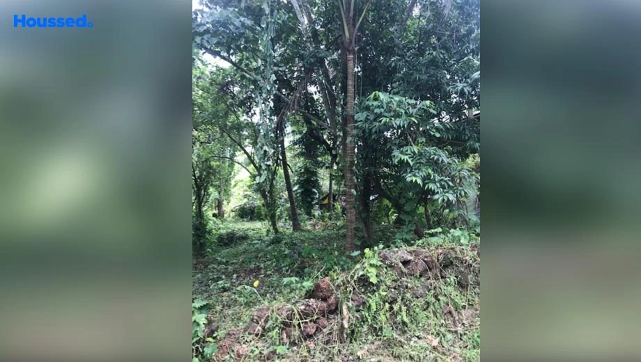 Project Image of Housing Plot/Residential Land for Resale in Pomburpa - Image 86385