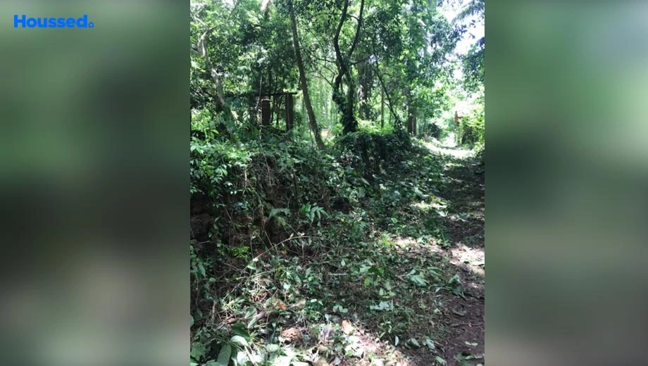 Project Image of Housing Plot/Residential Land for Resale in Pomburpa - Image 86384