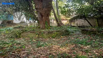 Project Image of Housing Plot/Residential Land for Resale in Anjuna, Goa - Image 88124