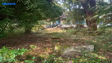 Project Image of Housing Plot/Residential Land for Resale in Anjuna, Goa - Image 88123