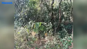 Project Image of Housing Plot/Residential Land for Resale in Margao, Goa - Image 88703