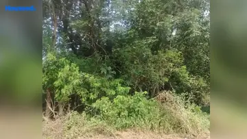 Project Image of Housing Plot/Residential Land for Resale in Varca, Goa - Image 88704