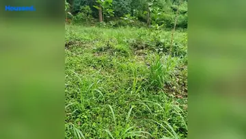 Project Image of Housing Plot/Residential Land for Resale in Davorlim, Goa - Image 88837