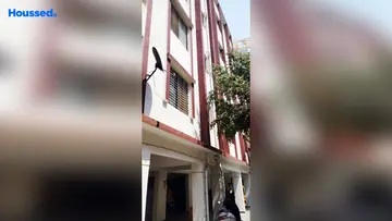 Project Image of 1 BHK Flat for Rent in Kharadi, Pune - Image 91003