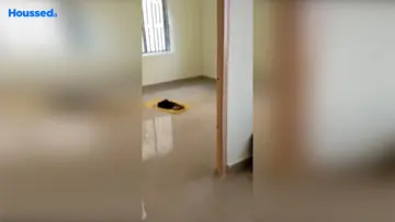 Project Image of 3 BHK Flat for Resale in Sundarpada, Bhubaneswar - Image 92334