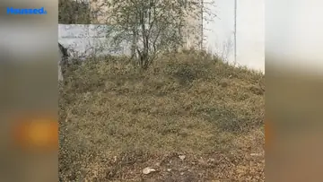 Project Image of Housing Plot/Residential Land for Resale in Bijalpur, Indore - Image 92407
