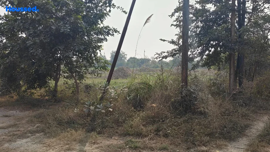 Project Image of Housing Plot/Residential Land for Resale in Yeida - Image 92812