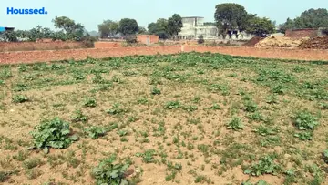 Project Image of Housing Plot/Residential Land for Resale in Dankaur, Greater Noida - Image 92820