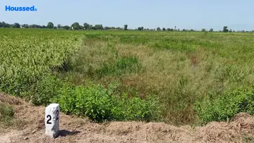 Project Image of Housing Plot/Residential Land for Resale in Dankaur, Greater Noida - Image 93001