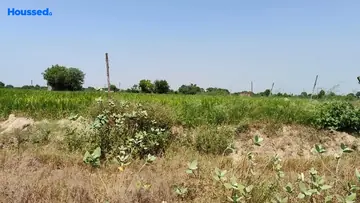 Project Image of Housing Plot/Residential Land for Resale in Yeida, Greater Noida - Image 93005