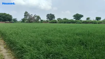 Project Image of Housing Plot/Residential Land for Resale in Dankaur, Greater Noida - Image 93075