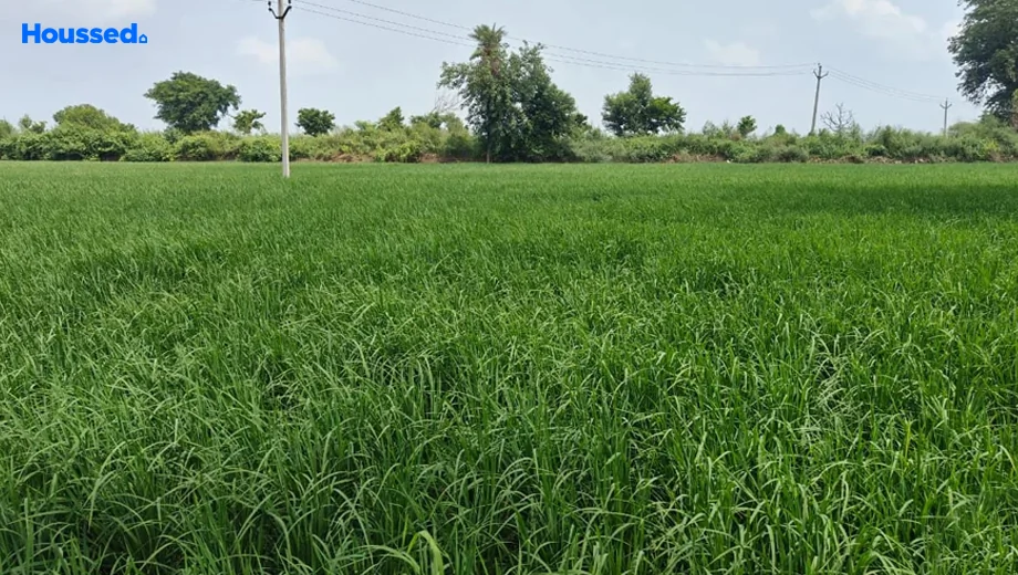 Project Image of Housing Plot/Residential Land for Resale in Dankaur - Image 93080