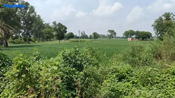 Project Image of Housing Plot/Residential Land for Resale in Dankaur, Greater Noida - Image 93076