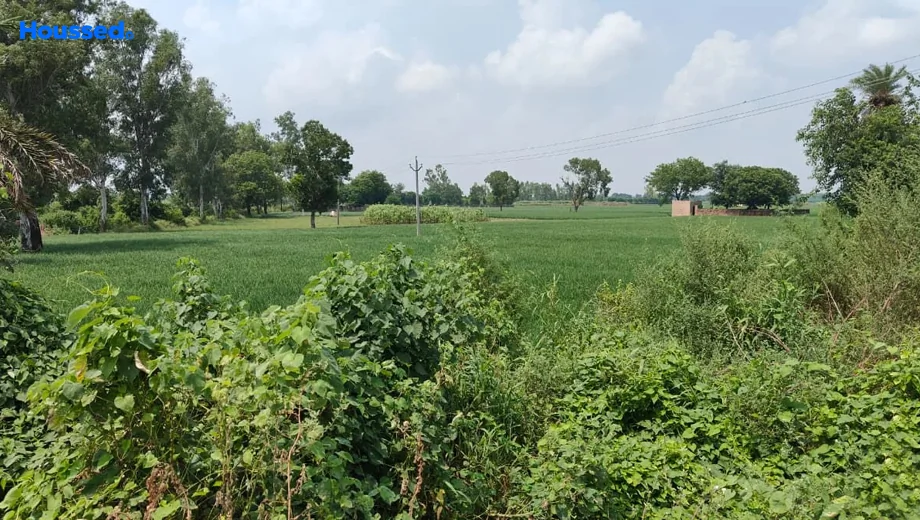 Project Image of Housing Plot/Residential Land for Resale in Dankaur - Image 93076