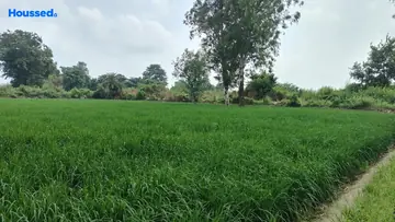 Project Image of Housing Plot/Residential Land for Resale in Dankaur, Greater Noida - Image 93079