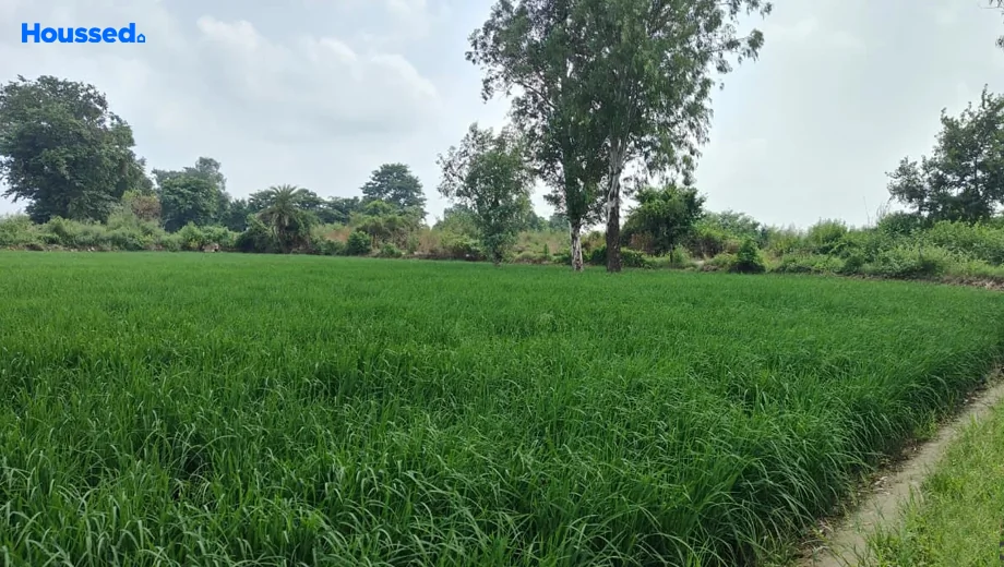 Project Image of Housing Plot/Residential Land for Resale in Dankaur - Image 93079
