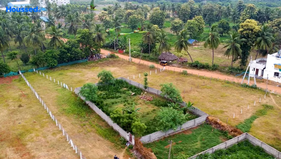 Project Image of Housing Plot/Residential Land for Resale in Bheemili - Image 93636