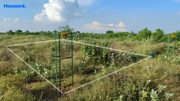 Project Image of Housing Plot/Residential Land for Resale in Yeida, Greater Noida - Image 93867