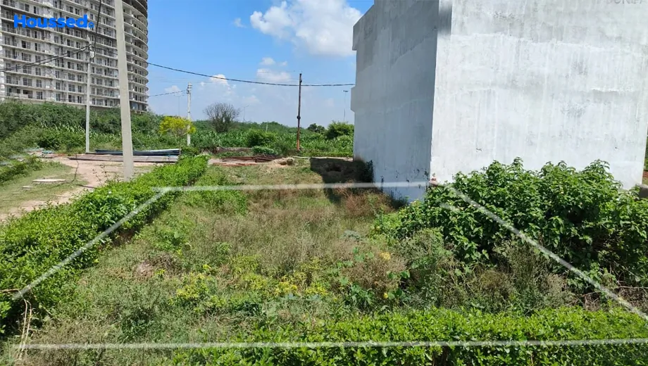 Project Image of Housing Plot/Residential Land for Resale in Yamuna Expressway - Image 93873