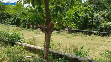 Project Image of Housing Plot/Residential Land for Resale in Dankaur, Greater Noida - Image 93879