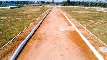 Project Image of Housing Plot/Residential Land for Resale in Bhogapuram, Visakhapatnam - Image 96212