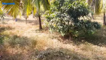 Project Image of Housing Plot/Residential Land for Resale in Bheemili, Visakhapatnam - Image 96250